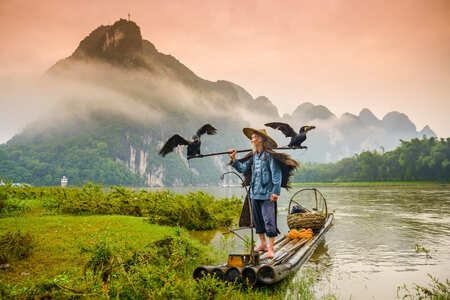 yangshuo-cormoran